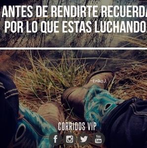 Meet your Posher, Edhy